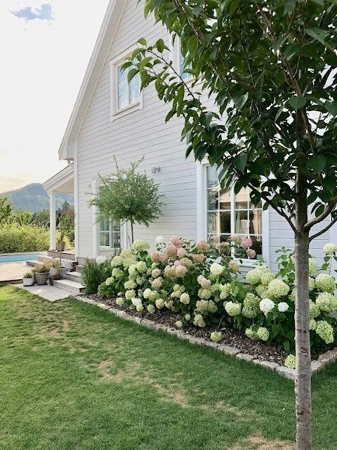 Hydrangea House Border